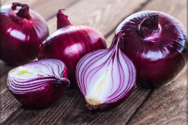 Ссылка на блэк спрут onion